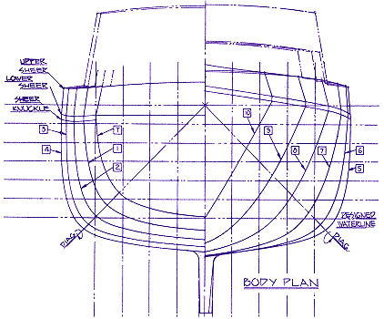 Body Plan